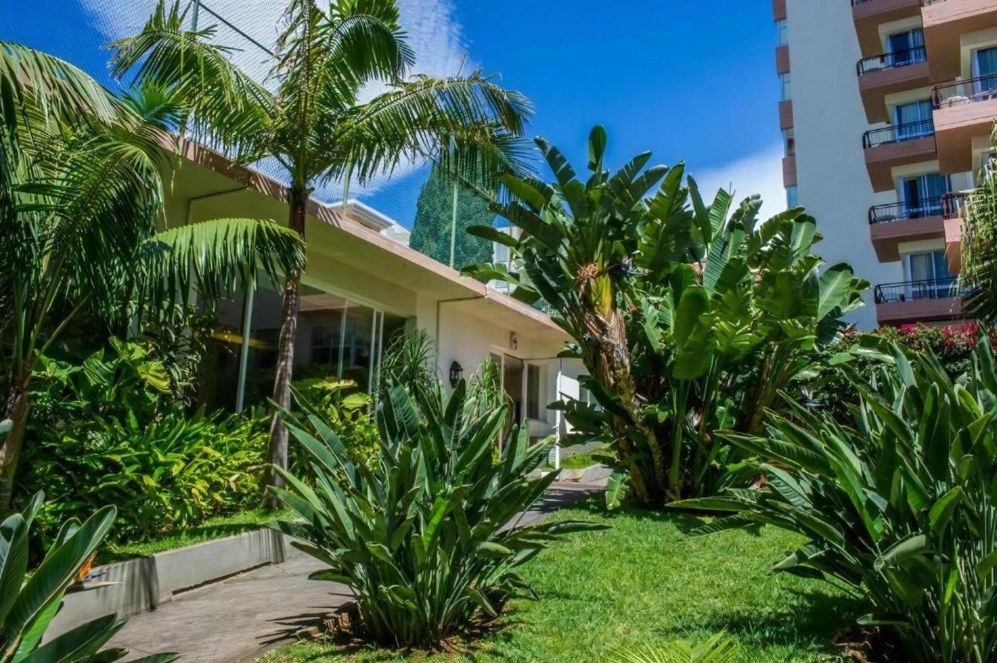 Studio Mit Meerblick Apartment Funchal  Exterior photo